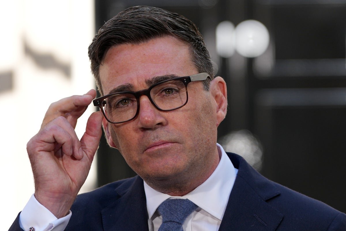 Burnham's Brexit minister hints at potential pathways for UK rejoining the EU