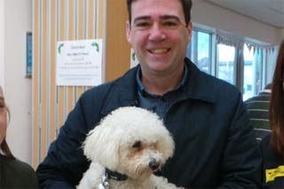 Burnham's dog Axel will not move to Downing Street due to potential clashes with Larry