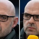Danny Murphy's cat story leaves BBC World Cup viewers divided during live match