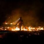 Ed Miliband to visit France and Spain amid severe wildfires and escalating climate concerns