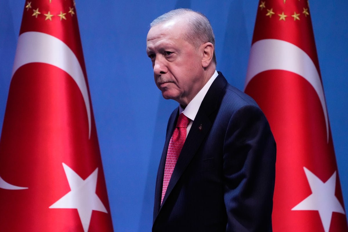 Erdogan urges UK and NATO allies to extradite suspects linked to 2016 coup attempt