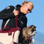 Erling Haaland returns to Norway with a stuffed raccoon from World Cup adventure