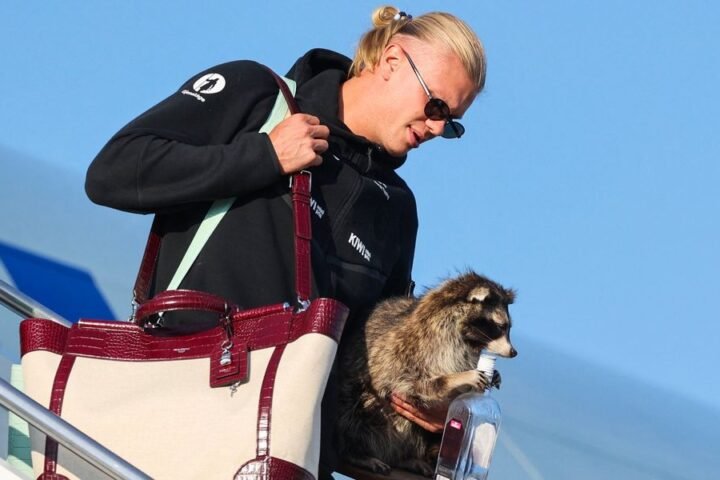Erling Haaland returns to Norway with a stuffed raccoon from World Cup adventure