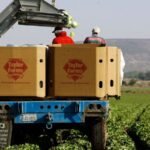 Investigation continues into Taylor Farms lettuce linked to cyclospora outbreak, false positive claimed