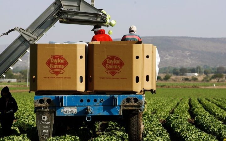 Investigation continues into Taylor Farms lettuce linked to cyclospora outbreak, false positive claimed