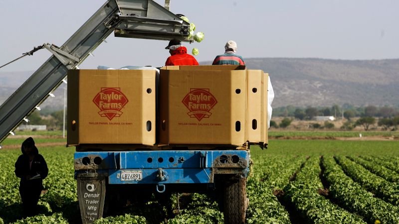 Investigation continues into Taylor Farms lettuce linked to cyclospora outbreak, false positive claimed