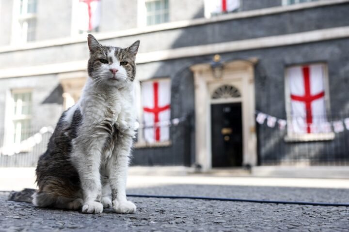 Larry the cat greets Andy Burnham as he takes office as prime minister