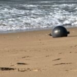 Metal spheres on Australian beach identified as suspected space debris, confirmed safe by agency