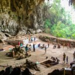 New research suggests 'hobbit' humans scavenged leftovers from Komodo dragons for survival