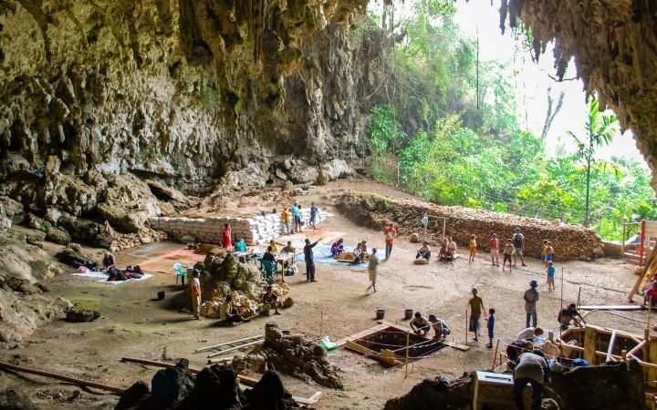 New research suggests 'hobbit' humans scavenged leftovers from Komodo dragons for survival