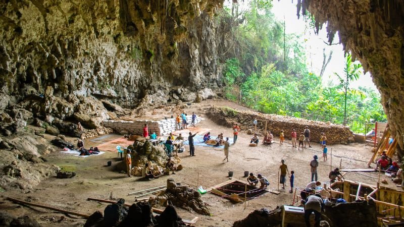 New research suggests 'hobbit' humans scavenged leftovers from Komodo dragons for survival