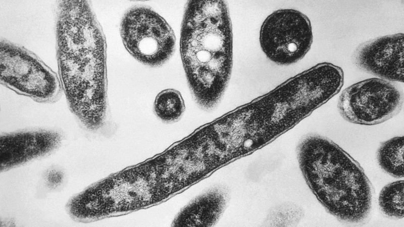 New York City declares end of Legionnaires' disease outbreak after seven deaths and 84 hospitalizations