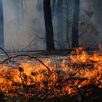 Over 250,000 displaced as wildfires escalate in France and Spain