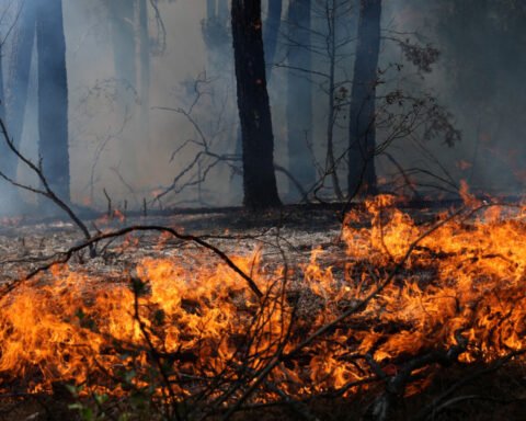 Over 250,000 displaced as wildfires escalate in France and Spain