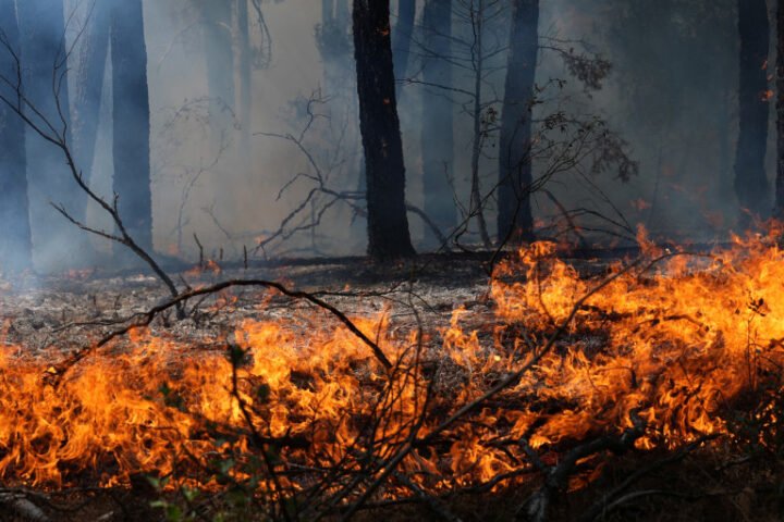 Over 250,000 displaced as wildfires escalate in France and Spain