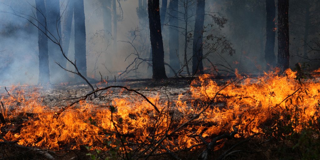 Over 250,000 displaced as wildfires escalate in France and Spain