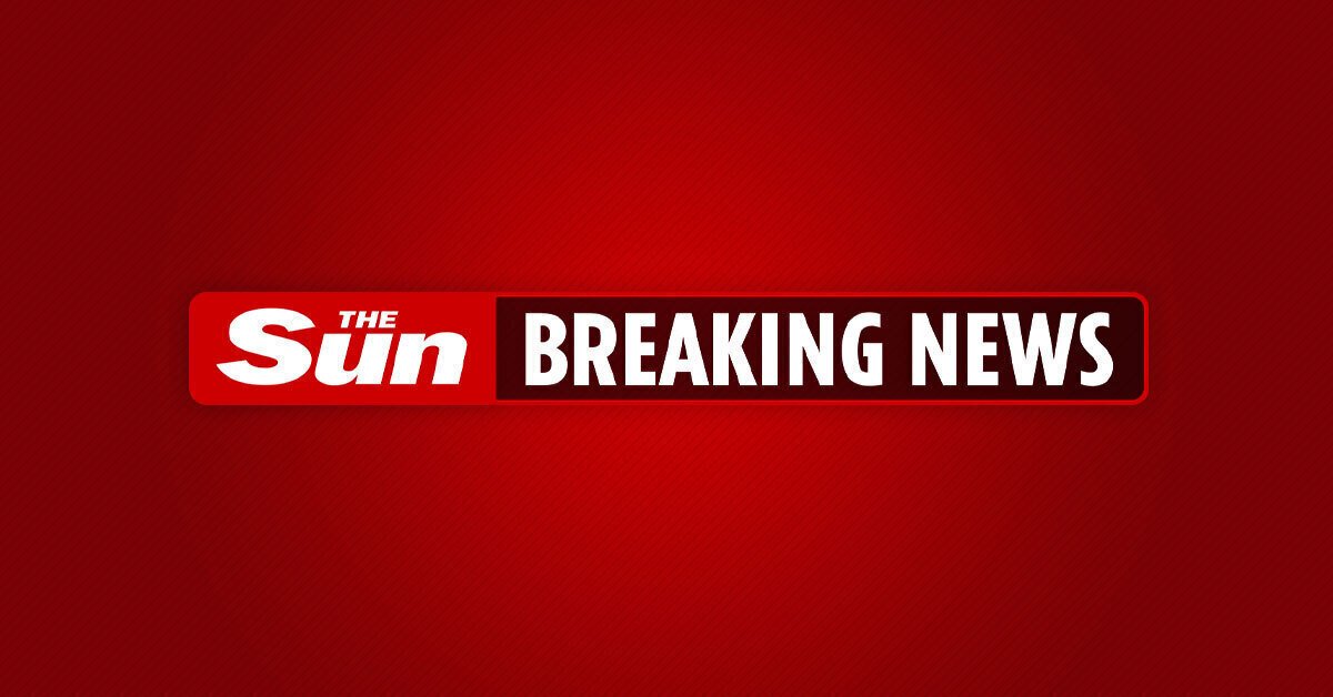 Police take no action against Zack Polanski over controversial Nigel Farage post
