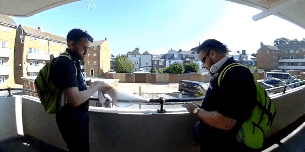Portsmouth council workers filmed cutting down England flag ahead of World Cup semi-final