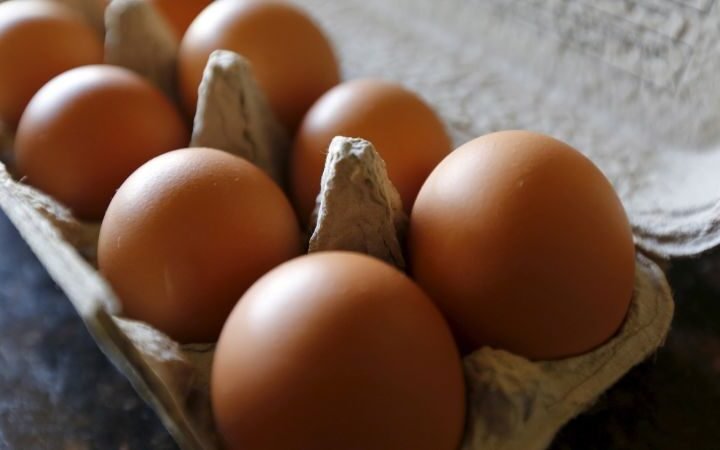 Salmonella outbreak linked to recalled eggs affects 98 people across 17 states