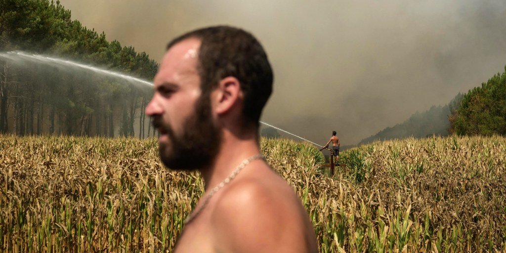Thousands of French wildfire evacuees return home as cooler weather brings hope