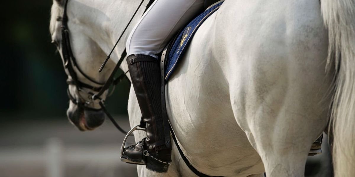Two riders killed in separate cross-country events, prompting investigation by British Eventing