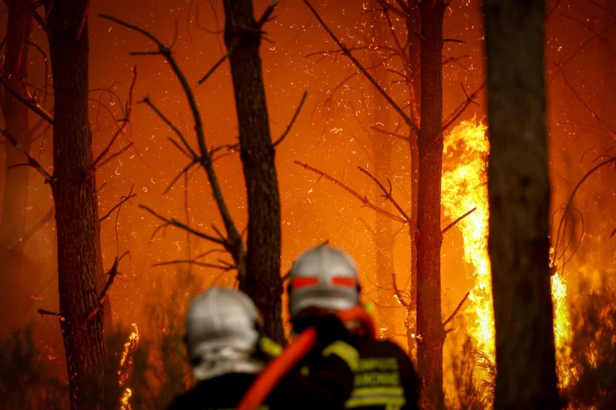 UK prepares for wildfires as summer heatwave looms, minister confirms