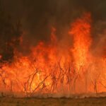 Wildfires advance towards Bordeaux as France and Spain face extensive evacuations