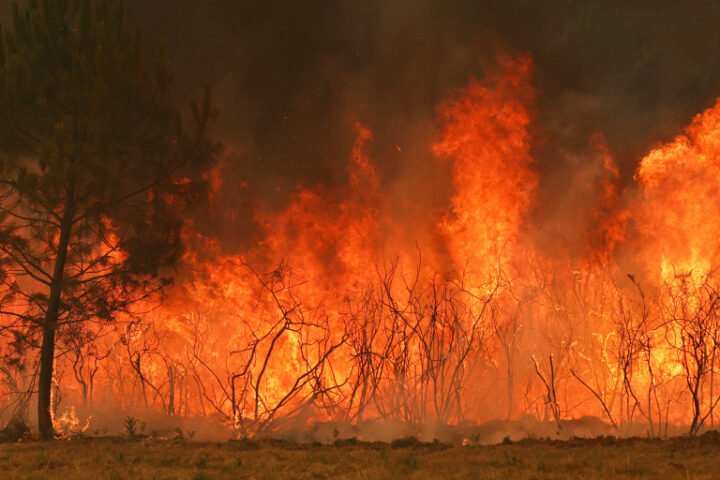 Wildfires advance towards Bordeaux as France and Spain face extensive evacuations