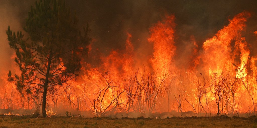 Wildfires advance towards Bordeaux as France and Spain face extensive evacuations