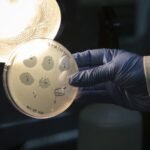 AI develops 16 new viruses, offering hope for drug resistance while raising misuse concerns