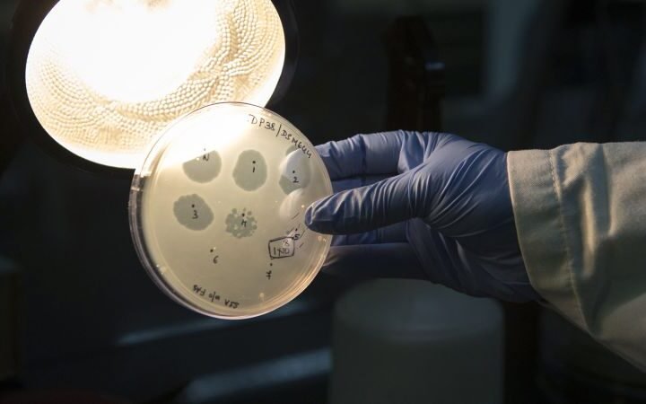 AI develops 16 new viruses, offering hope for drug resistance while raising misuse concerns