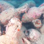 Ancient Roman shipwreck found off Italian coast revealing valuable artifacts and trade insights