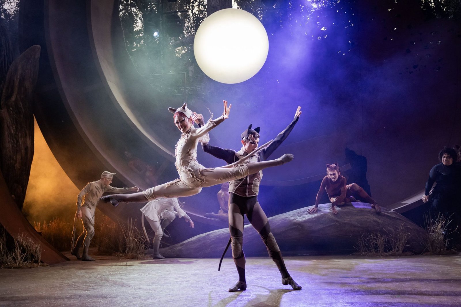 Andrew Lloyd Webber's works regain popularity as new productions captivate audiences