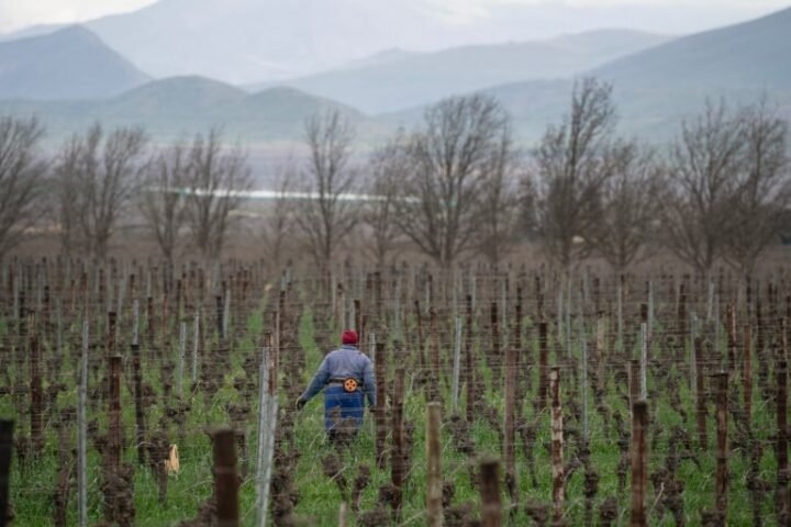Court case opens over South Africa’s land law amid tensions with Trump administration