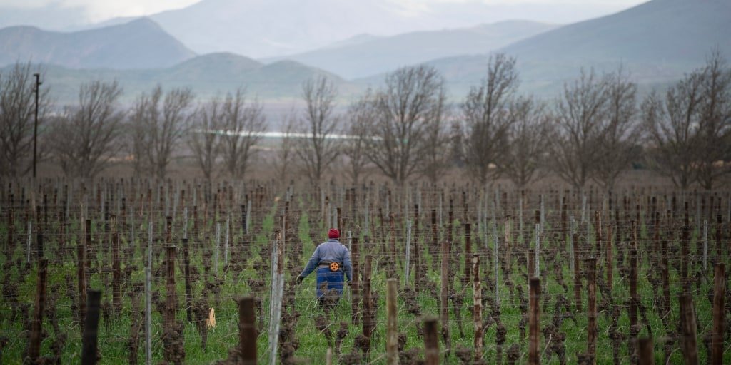 Court case opens over South Africa’s land law amid tensions with Trump administration