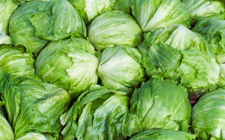 Cyclosporiasis outbreak linked to lettuce now affects 15 states, with two deaths reported
