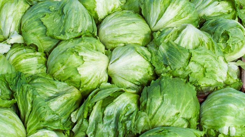 Cyclosporiasis outbreak linked to lettuce now affects 15 states, with two deaths reported