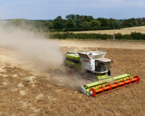 Farmers face crisis as record heatwave threatens crops and livelihoods in the UK