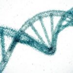 Gene-editing breakthrough reduces cholesterol levels significantly with long-lasting effects