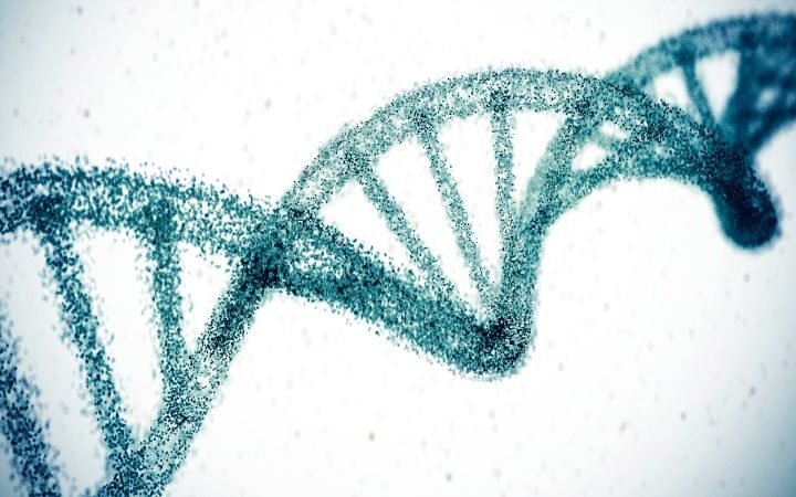 Gene-editing breakthrough reduces cholesterol levels significantly with long-lasting effects