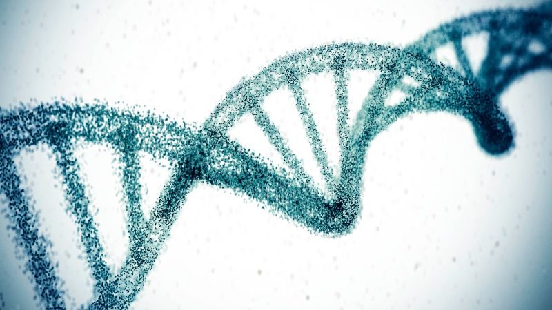 Gene-editing breakthrough reduces cholesterol levels significantly with long-lasting effects