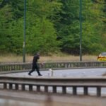 Government calls on social media platforms to remove dangerous driving content