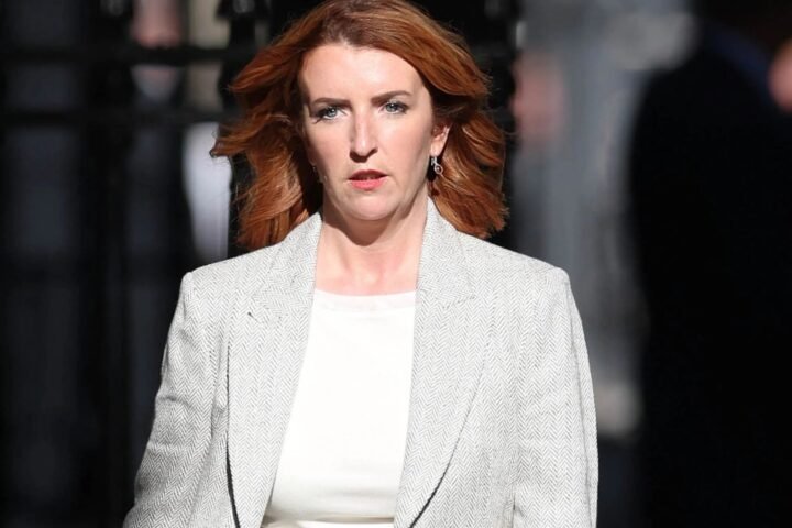 Louise Haigh approves emergency wildfire alert amid criticism of system's use