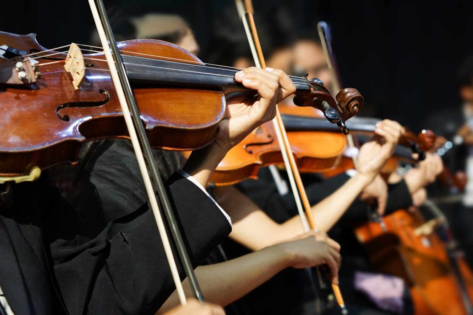 Musicians face taboos over hearing loss, raising urgent need for protective measures