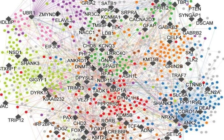 New autism mapping study reveals insights for targeted therapies