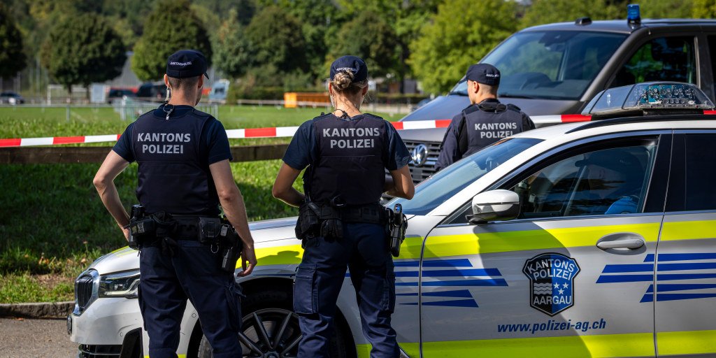 One dead and five injured in Switzerland rave shooting, suspect still at large