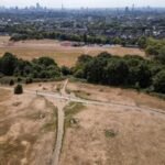 PM to lead Cobra meeting as UK prepares for extreme heat and wildfire risks