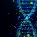 Researchers discover evidence of two unknown ancestral lineages in modern human DNA