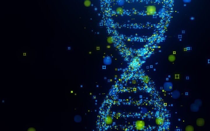 Researchers discover evidence of two unknown ancestral lineages in modern human DNA