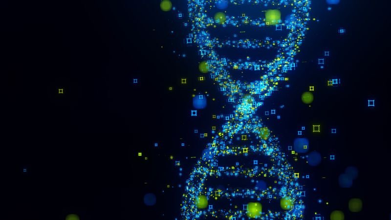 Researchers discover evidence of two unknown ancestral lineages in modern human DNA